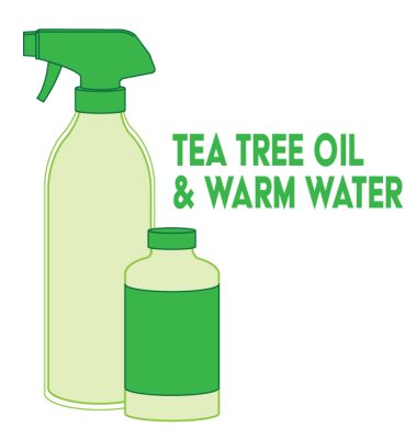 Tea tree oil and water can remove mold, mildew and bad smells.